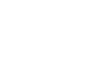Igp logo